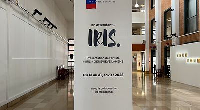 En attendant Iris : une exposition dans le cadre de "Fenêtre sur Haïti"