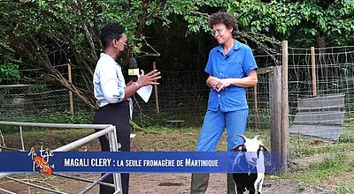 ATPA : La seule fromagère de la Martinique