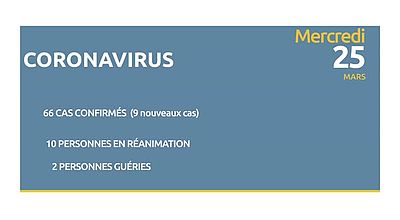 Coronavirus: 66 cas confirmés - 2 personnes guéries