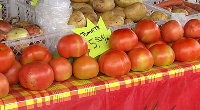 Difficulté de production : le prix de la tomate flambe