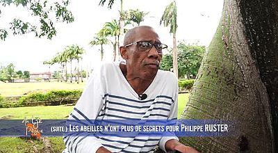 suite les abeilles n’ont plus de secrets pour philippe