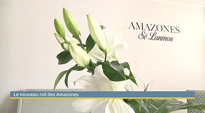 Le nouveau nid des Amazones