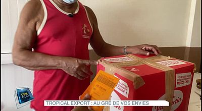 Tropical Export : Au gré de vos envies