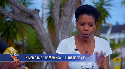 video | Rimèd radié : le Moringa ...L'arbre de vie.