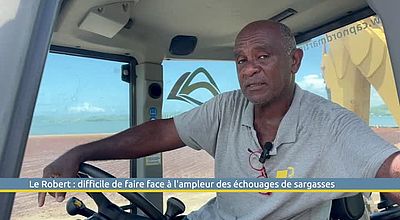 Robert : difficile de faire face aux sargasses