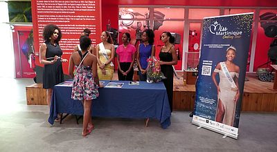 Martinique casting tour : qui succédera à Angélique ANGARNI-FILOPON