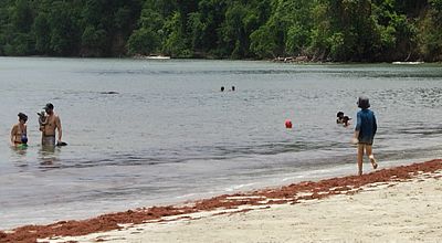 Ne laissez pas le soleil vous gâcher les grandes vacances !