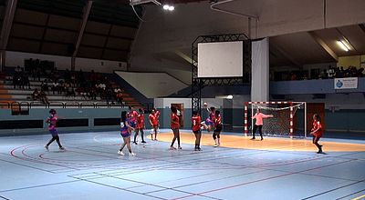 Handball : deux matchs de gala au Lamentin