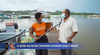 La pêche aux oursins finalement maintenue jusqu'à demain.