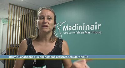 Brume Saharienne : un phénomène récurrent en Martinique