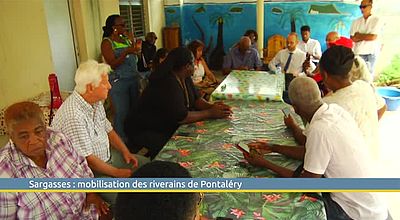Sargasses : mobilisation des riverains de Pontaléry
