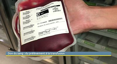 Don du sang : du prélèvement à la transfusion