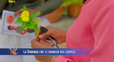video | Le Damiana fait le bonheur des couples.