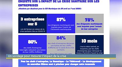 Un sondage pour mesurer l'impact de la crise
