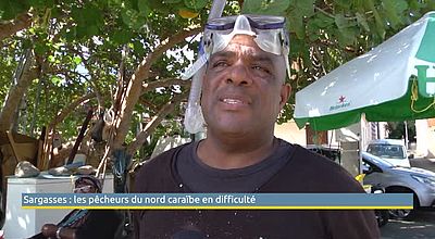 Sargasses : les pêcheurs du nord caraïbe en difficulté