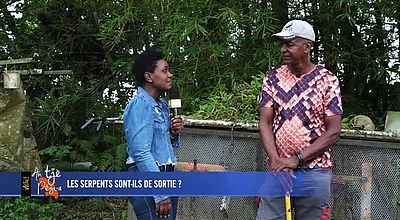 ATPA LES SERPENTS SONT ILS DE SORTIE