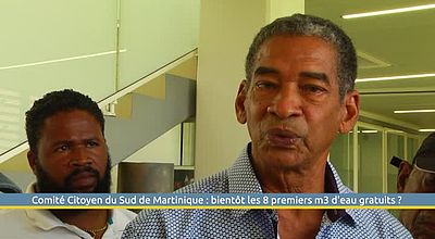 Comité Citoyen du Sud de Martinique : bientôt les 8 premiers m3 d'eau gratuits ?