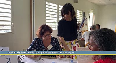 Ateliers de détection de synergies entre acteurs économiques