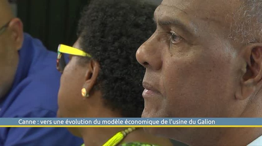 Canne : vers une évolution du modèle économique de l'usine du Galion