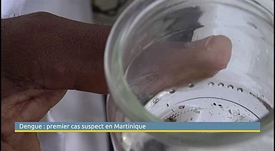 Dengue: premier cas en Martinique