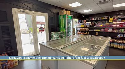 Sargasses : comment les commerçants du Robert font face à ces algues ?