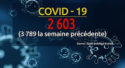 Covid-19 :  la baisse de l’épidémie continue en Martinique