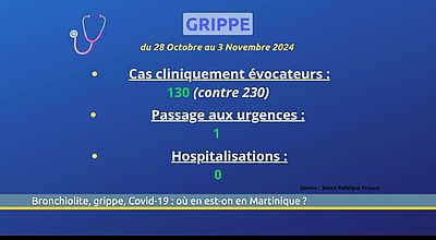 Bronchiolite, grippe, covid : où en est-on en Martinique ?