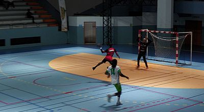 Handball : large victoire de l'Étoile de Gondeau face au Club Sport