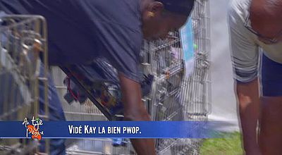 video | Vidé Kay la bien Pwop.